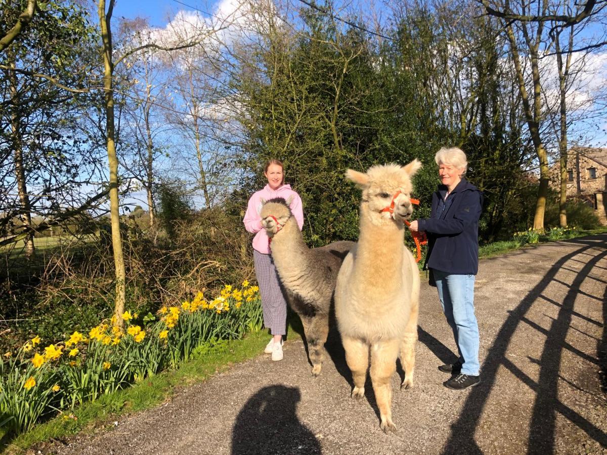 Alpaca Fold Villa Preston  Buitenkant foto