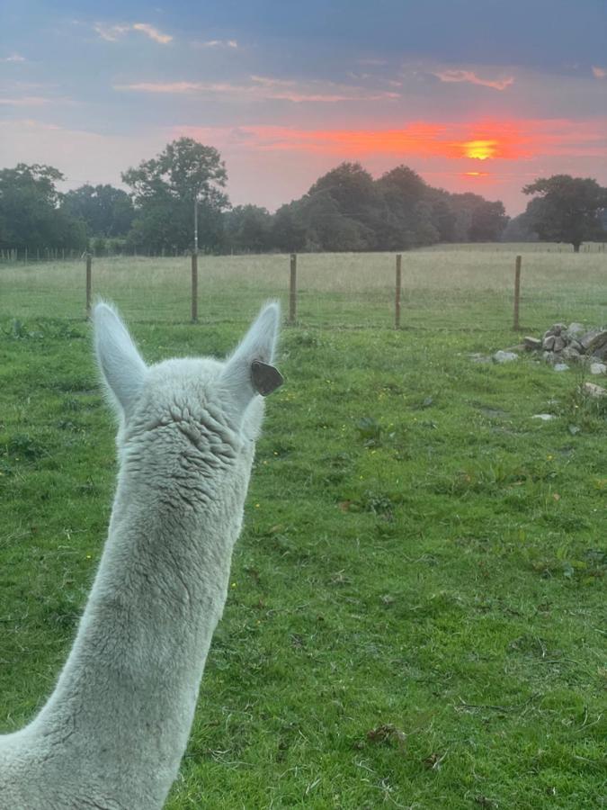 Alpaca Fold Villa Preston  Buitenkant foto